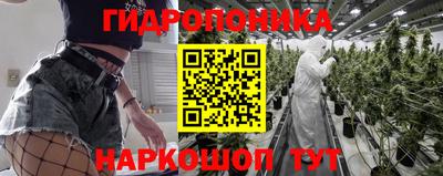 стаф Будённовск