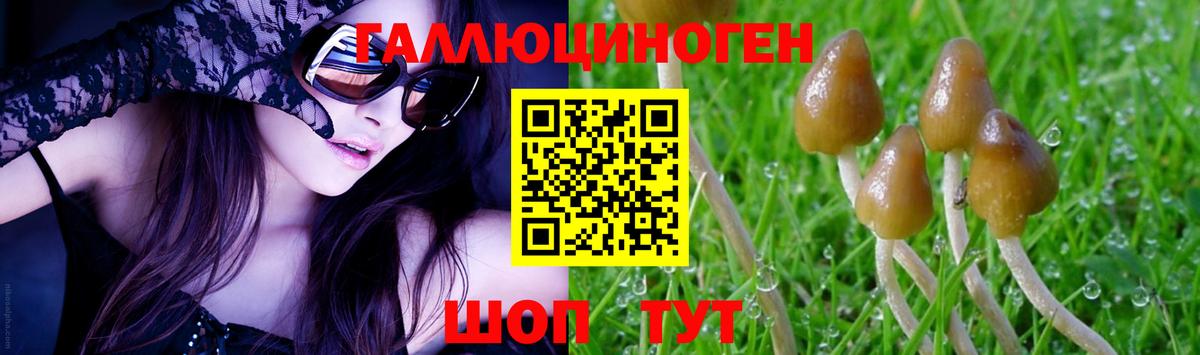 Псилоцибиновые грибы мухоморы Лабинск